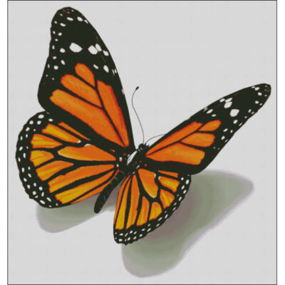 The Monarch (Public Domain or Stock Art (Licenced))
