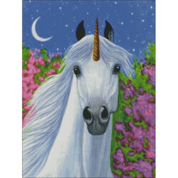 Unicorn Night (Bridget Voth)