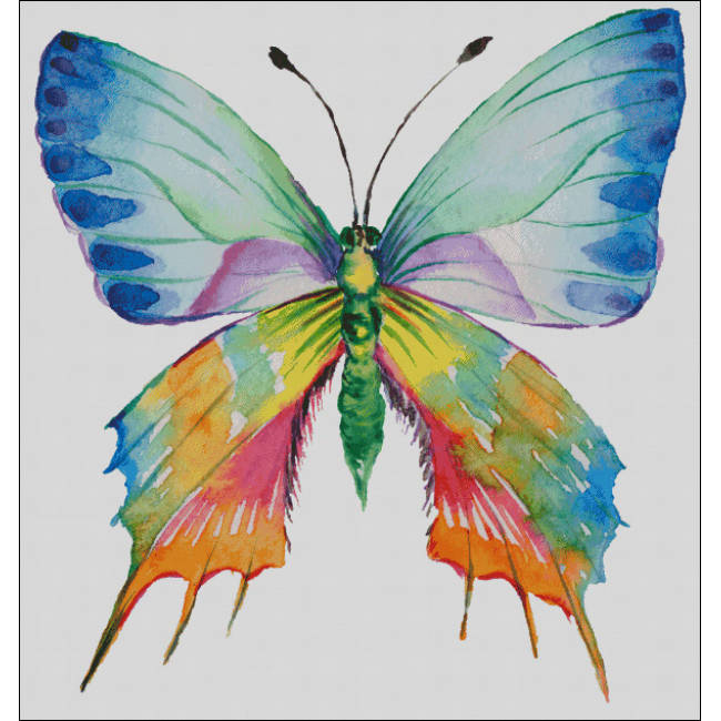 Watercolor Neon Butterfly (Public Domain or Stock Art (Licenced))