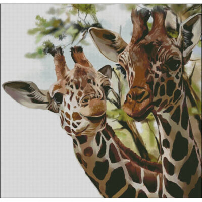 Wildlife Giraffes (Lorri Kajenna)