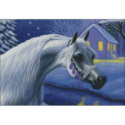 Winter Beauty (Bridget Voth)