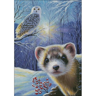 Winter Glow Ferret (Bridget Voth)
