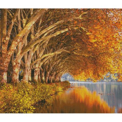 Baldneysee Autumn (Large) (Evgeni Tcherkasski)