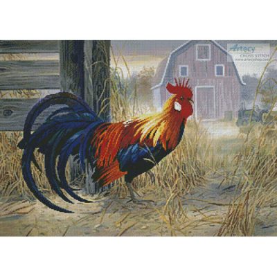 Barnyard Boss (Randy McGovern)