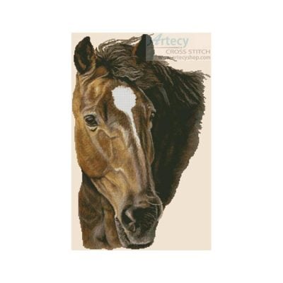 Bay Horse (Helen Chugg)