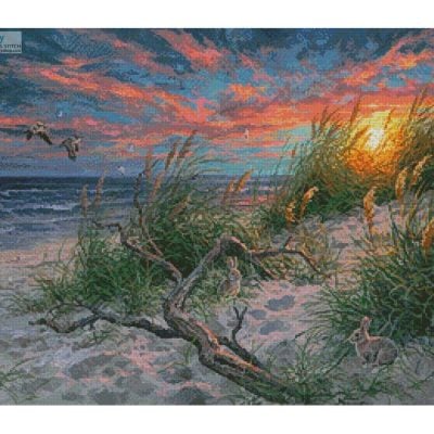 Beach Life (Abraham Hunter)