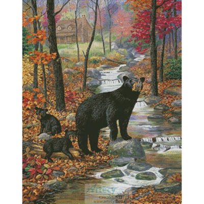Bearly Moving (Randy McGovern)