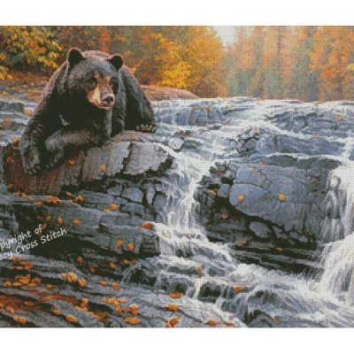 Bearly Time (Greg Alexander)