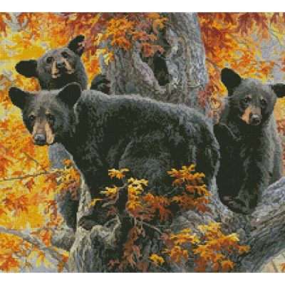 Beary Tree (Abraham Hunter)