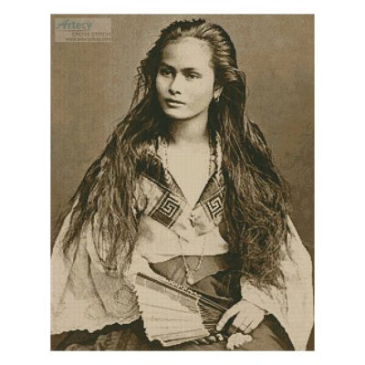 Beautiful Chinese Filipino Woman (Francisco van Camp)