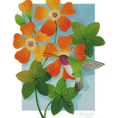 Beija Flor Orange (Johnny Karwan)