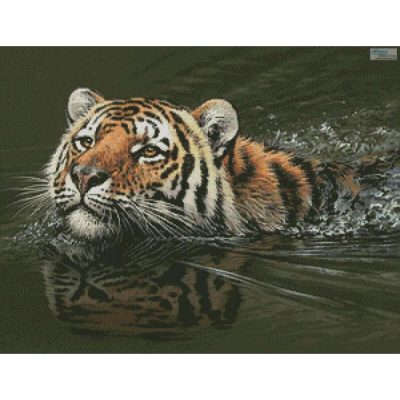 Bengal Crossing (Fuz Caforio www)