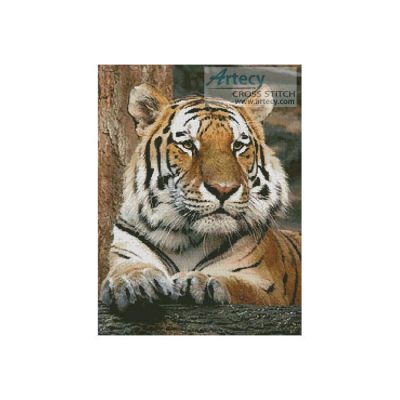 Bengal Tiger 4 (ArpeggioAngel - Image Vortex)