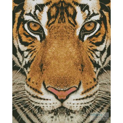 Bengal Tiger (Colour) (Neosiam)