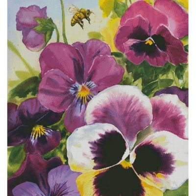Big Bold Pansy (Large) (Geoff Allen)