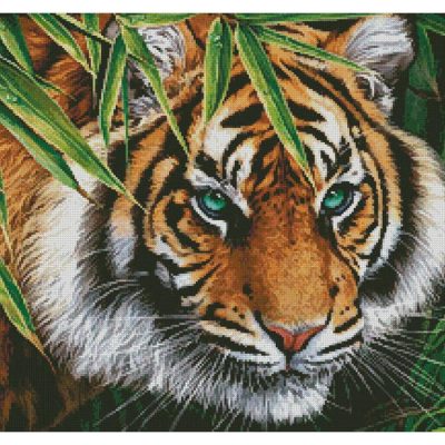 Big Tiger (Image World/AP, licensed through MHS Licensing)