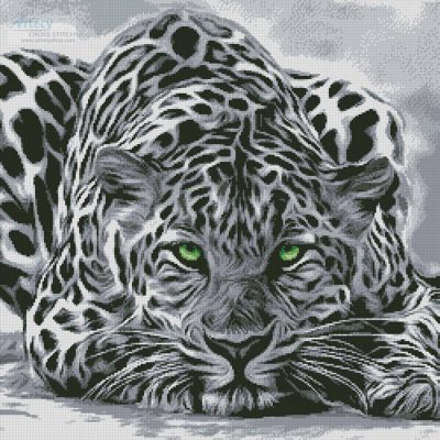 Black and White Leopard (Wardster43cva-Pixabay)