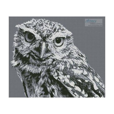 Black and White Owl (Billy Pickett Photography)