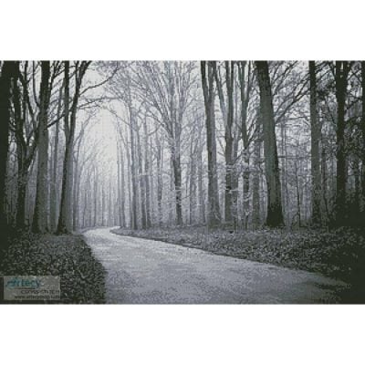Black and White Road through Trees (Purplehorse-Pixabay)