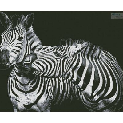 Black and White Zebras (Ian Lindsay - Pixabay)
