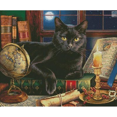 Black Cat by Candlelight (Image World)