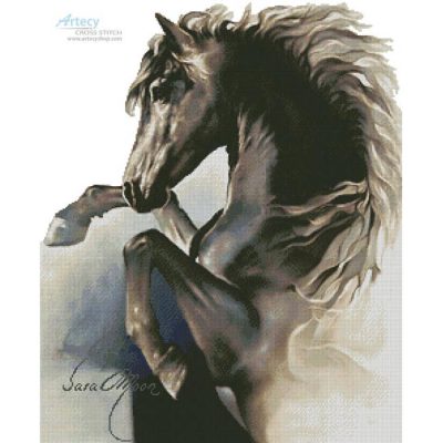 Black Fury (Sara Moon)