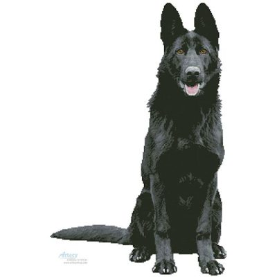 Black German Shepherd (Yama Zsuzsanna Markus - Pixabay)