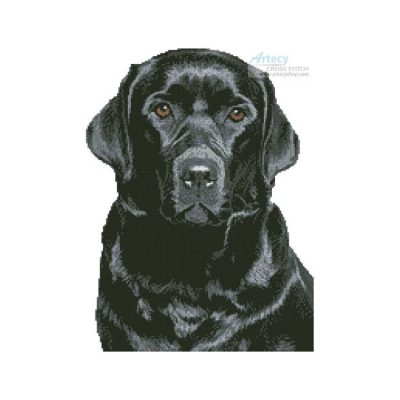 Black Labrador (liandstudio - Fotolia)