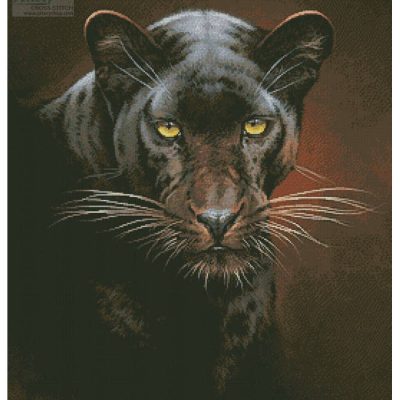 Black Panther Portrait (Fuz Caforio)