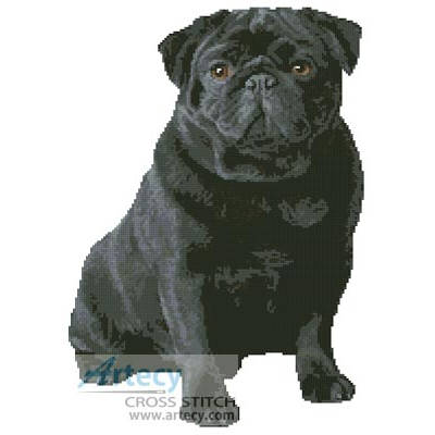 Black Pug (www.photostogo.com)