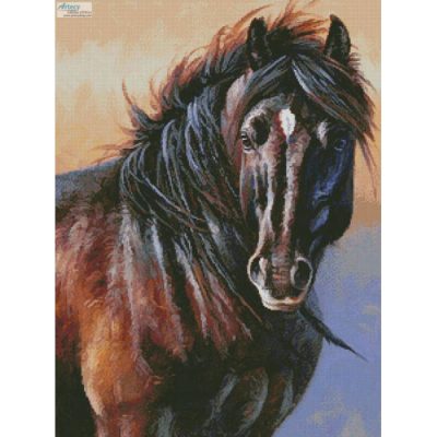 Black Stallion (Cynthie Fisher)