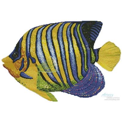 Blue and Yellow Fish (Olga and Alexey Drozdov/ artlicensing)