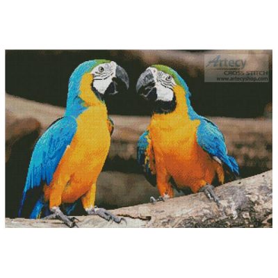 Blue and Yellow Macaws (Santiphoto - Fotolia)