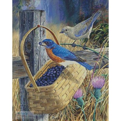 Blue Bandit (Randy McGovern)