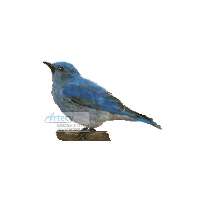 Blue Bird (M Bauman)