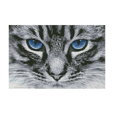 Blue Eyes 2 (George Hodan)