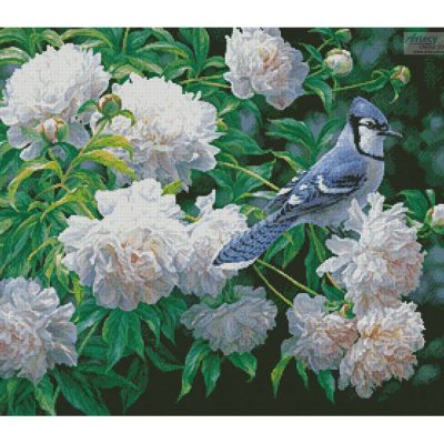 Blue Jay in Peonies (Beth Hoselton)