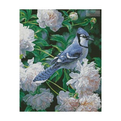 Blue Jay in Peonies (Crop) (Beth Hoselton)