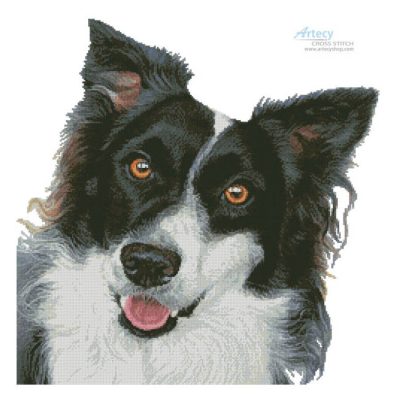 Border Collie Painting (Helen Chugg)