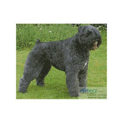 Bouvier des Flandres (Eva Nordlund)
