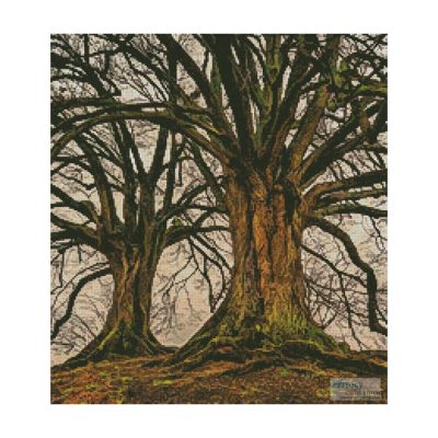 Branching Out (Crop) (Johannes Plenio)