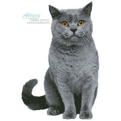 British Shorthair Cat (Jagodka - Fotolia)