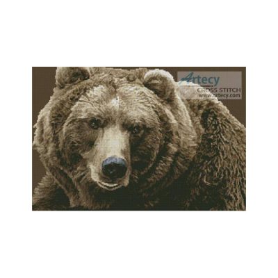 Brown Bear