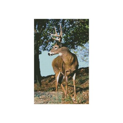 Buck 2 (www.liquidlibrary.com)