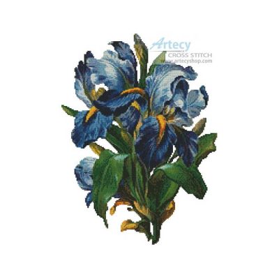 Bunch of Irises (Vintagerio)