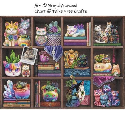 Succulents and Cats