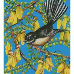 Fantail Frolics (Val Stokes)