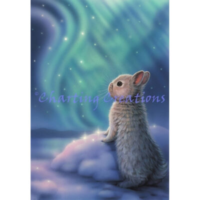 Aurora Bunny (Kirk Reinert)