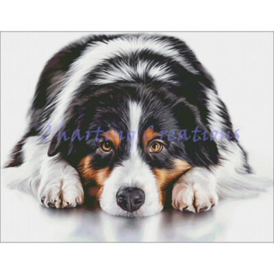 Australian Shepherd (Charting Creations)