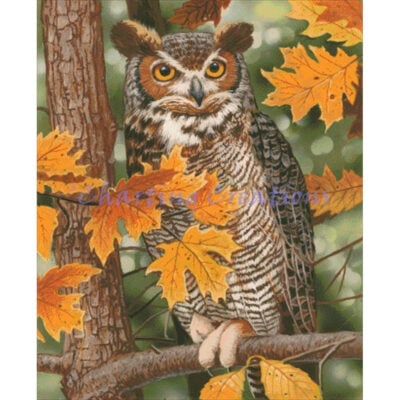 Autumn Owl (William Vanderdasson)